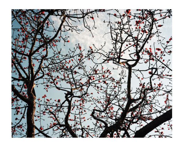 Kurt Tong, Untitled II, 2011