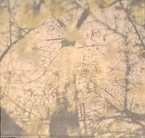 Miho Kajioka, CL0017, 2021