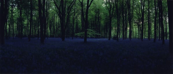 Chrystel Lebas, Blue Hour 5, 2005