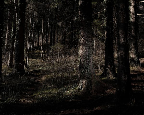 Kurt Tong, Thaur, 2023