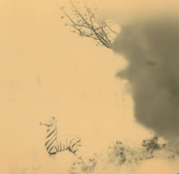 Miho Kajioka, BK0325, 2017