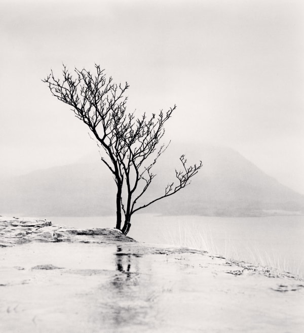 Michael Kenna, Highland Bruce Tree, Torridon, North West Highlands, Scotland, 2015