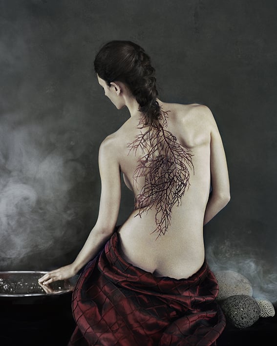 Vee Speers, Untitled #23, 2020