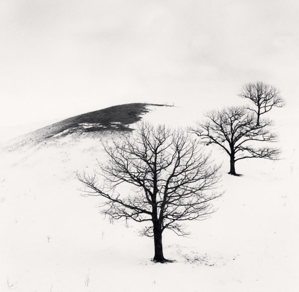 Michael Kenna, Three Trees in Pasture, Study 1, Hokkaido, Japan, 2020