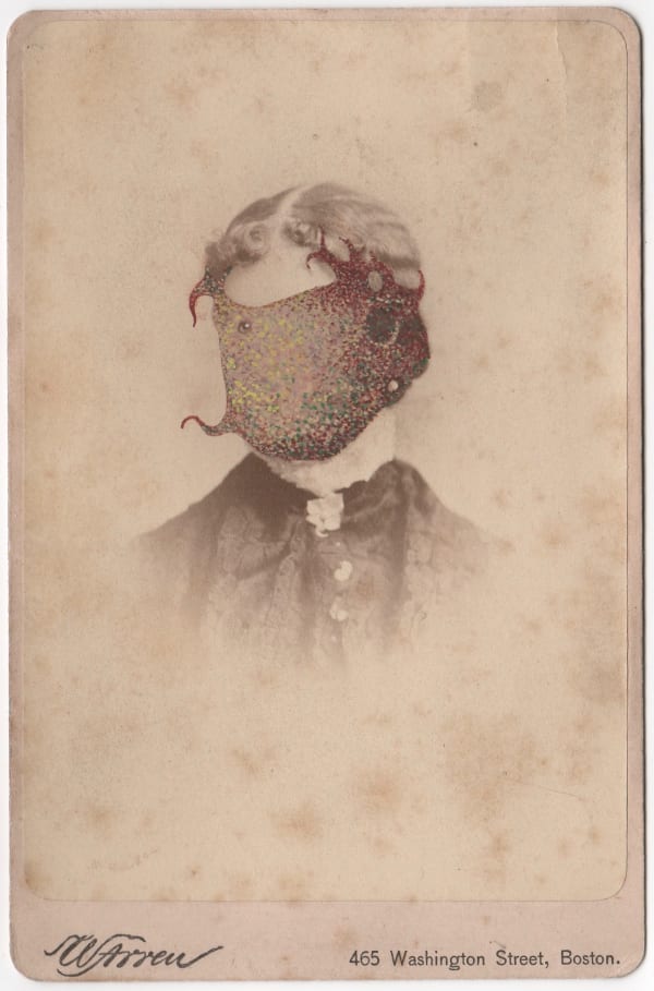 Tom Butler, Warren, 2017