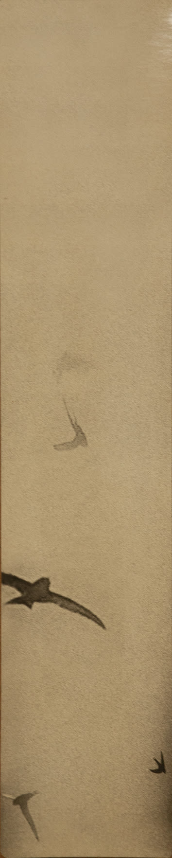 Miho Kajioka, BK0509, 2019