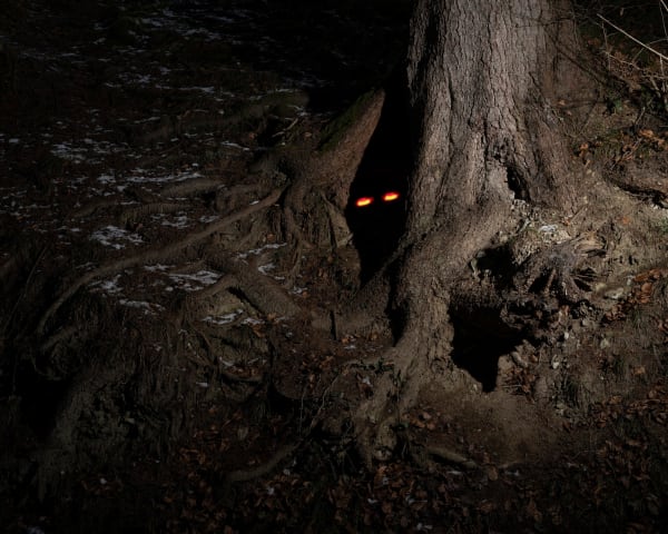 Kurt Tong, The Watcher, 2023