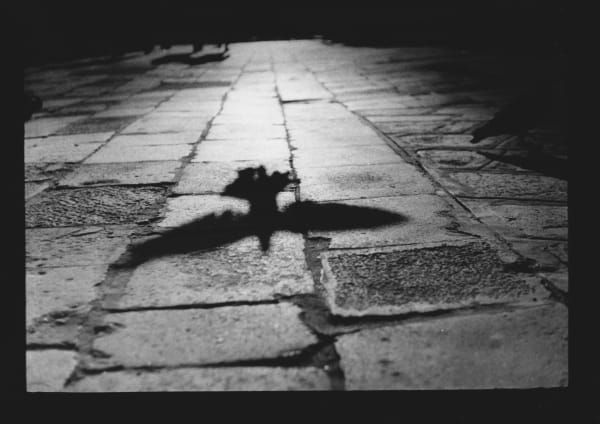 Giacomo Brunelli, Untitled #06 (Pigeon's Shadow), 2020