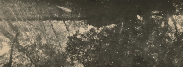 Miho Kajioka, BK0624, 2020