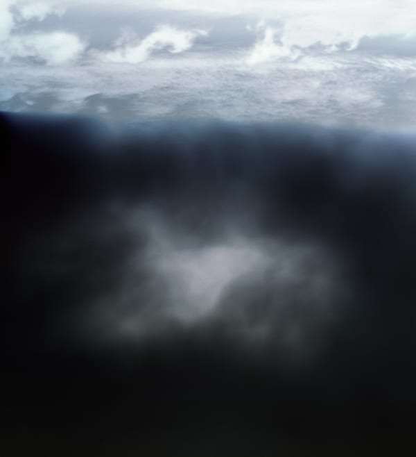 Nicholas Hughes, Untitled 3, 2011
