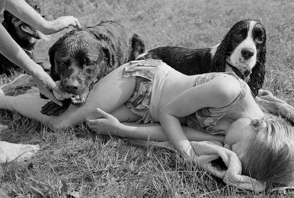 Sage Sohier, Girl and dogs resting after swim, North Sandwich, New Hampshire, 1993