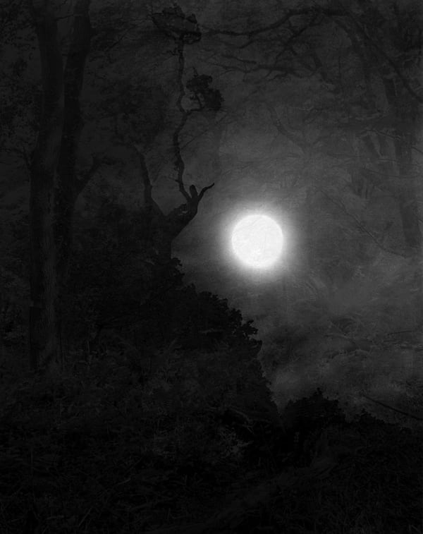 Nicholas Hughes, Verse III, #17, 2021