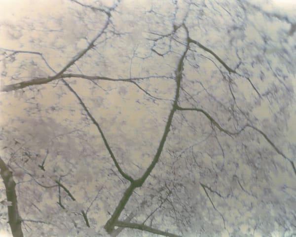Kurt Tong, Untitled 1, 2009