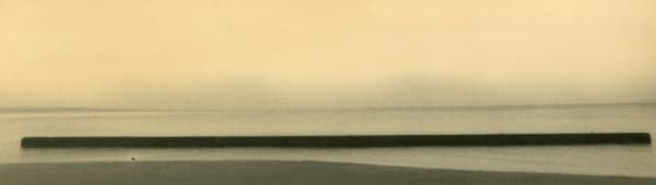 Miho Kajioka, BK0466, 2019