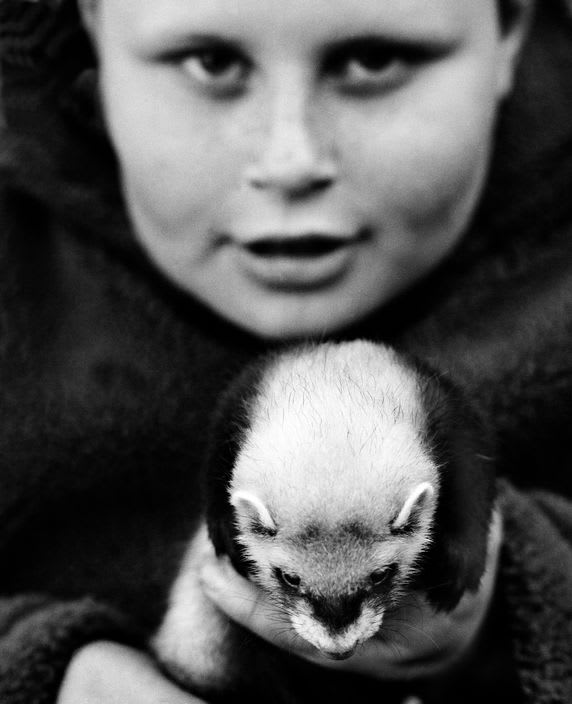 Chris Steele-Perkins, Ferreting, Boy with polecat, County Durham, 2002