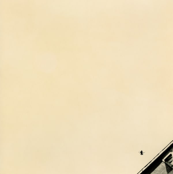 Miho Kajioka, BK0221, 2016