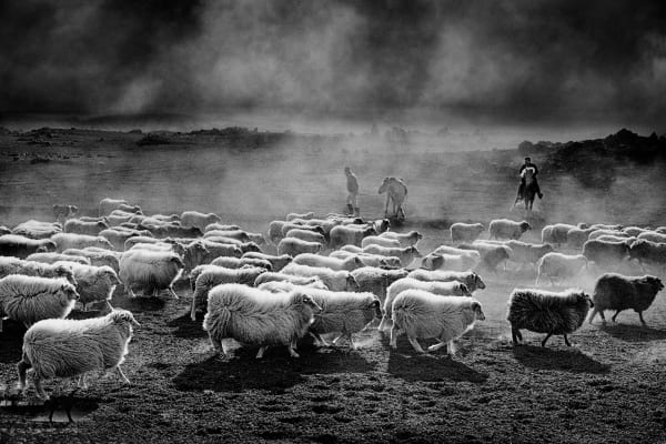 Ragnar Axelsson, Sheep Round up, Landmannalaugar, Iceland, 1989