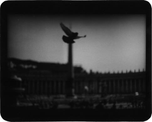 Giacomo Brunelli, Pigeon St. Peter Rome, 2005-2009