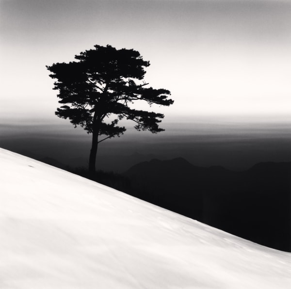 Michael Kenna, Mountain Tree, Study 1, Danyang, Chungcheonbukdo, South Korea, 2011