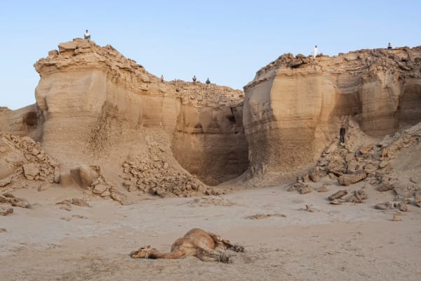 Gohar Dashti, Stateless #4, 2014-15