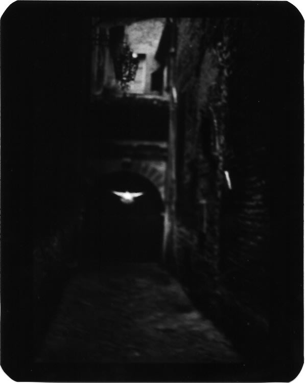 Giacomo Brunelli, Pigeon White Montefalco, 2005-2009