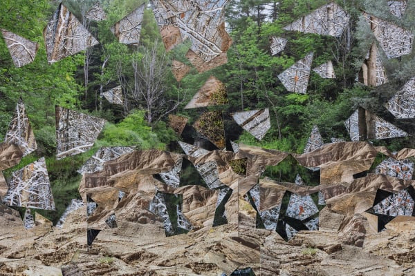 Transformed Landscape