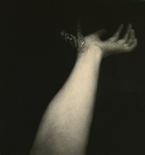 Miho Kajioka, BK0063, 2014