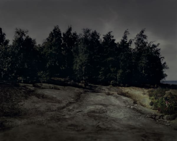 Martina Lindqvist, Untitled #5, 2008