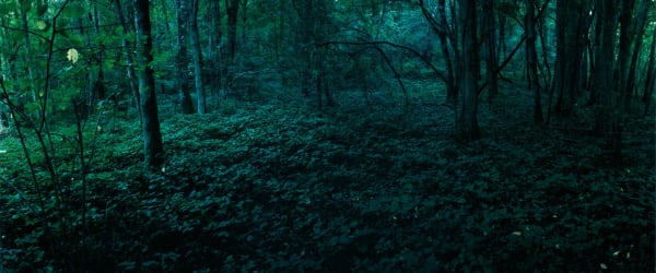 Chrystel Lebas, Abyss 3, 2003