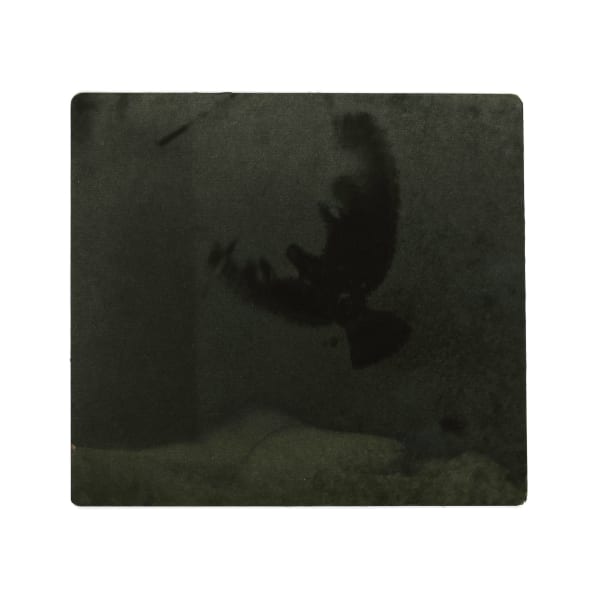 Miho Kajioka, #0112