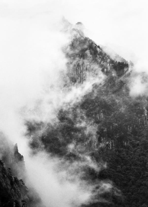 Qiu Yangzi, Floating Dragon, 2015