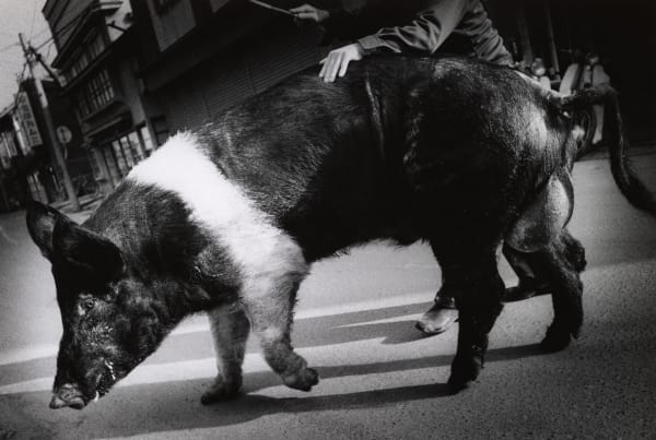 Daido Moriyama, Japan Photo Theater 2, 1978