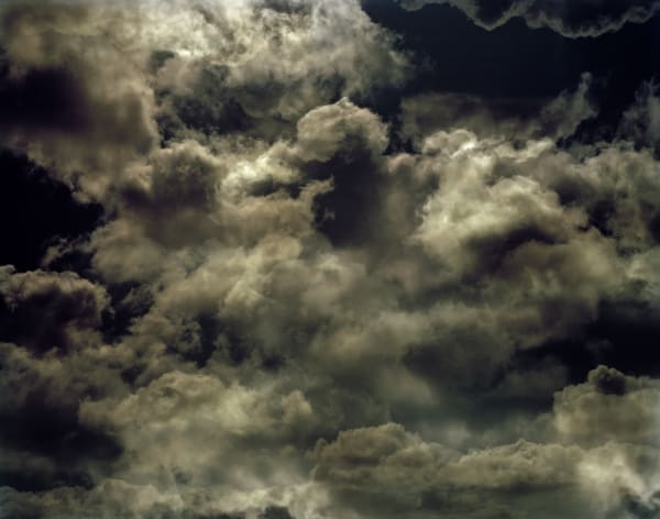 Nicholas Hughes, Untitled 4, 2011