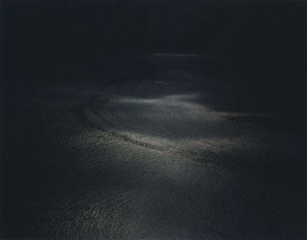 Nicholas Hughes, Untitled 6, 2007