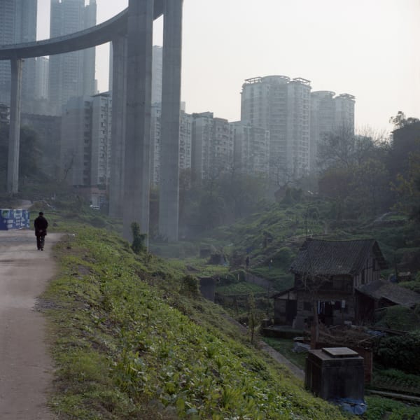 Kurt Tong, Chongqing III, 2014-2016