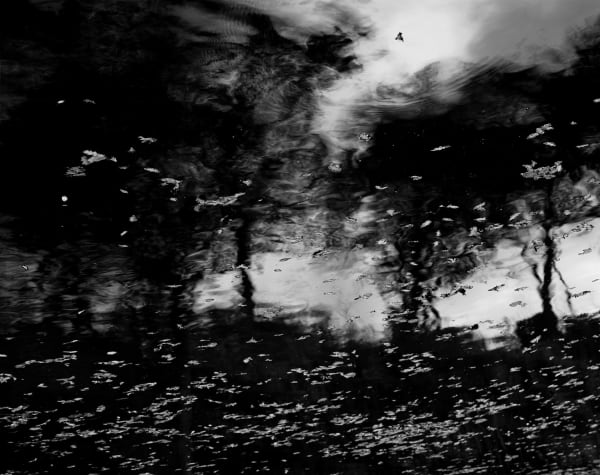 Nicholas Hughes, Verse I, #13, 2017