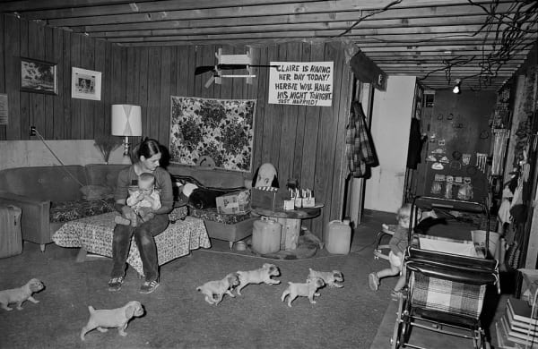 Sage Sohier, Family with Spaniel puppies, Milan, New Hampshire, 1980