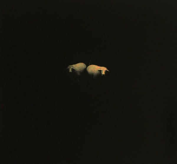 Miho Kajioka, BK0144, 2015