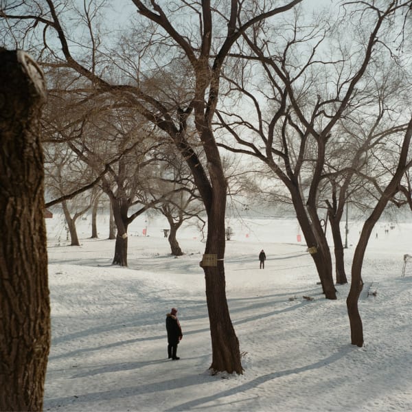 Kurt Tong, Harbin II, 2014-2016