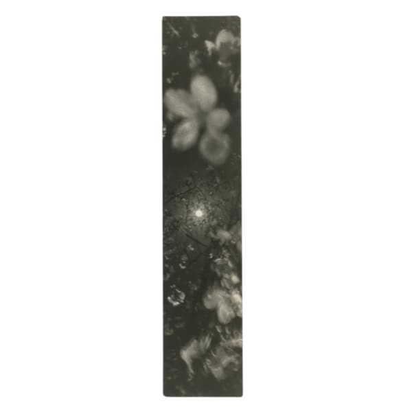 Miho Kajioka, #0151, 2024