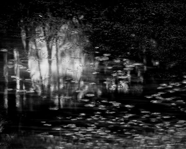 Nicholas Hughes, Verse I, #1, 2016