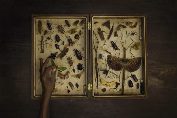 Evgenia Arbugaeva, Untitled 50, 2015