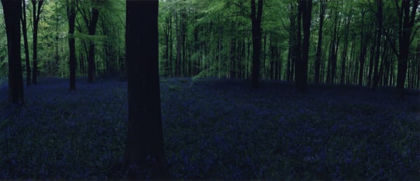 Chrystel Lebas, Blue Hour 6, 2005