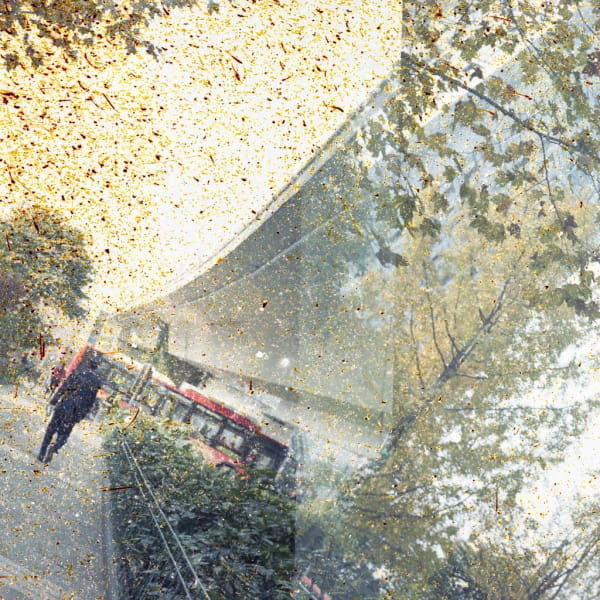 Kurt Tong, Earth I, 2014-2016