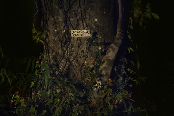 Evgenia Arbugaeva, Untitled 56, 2015