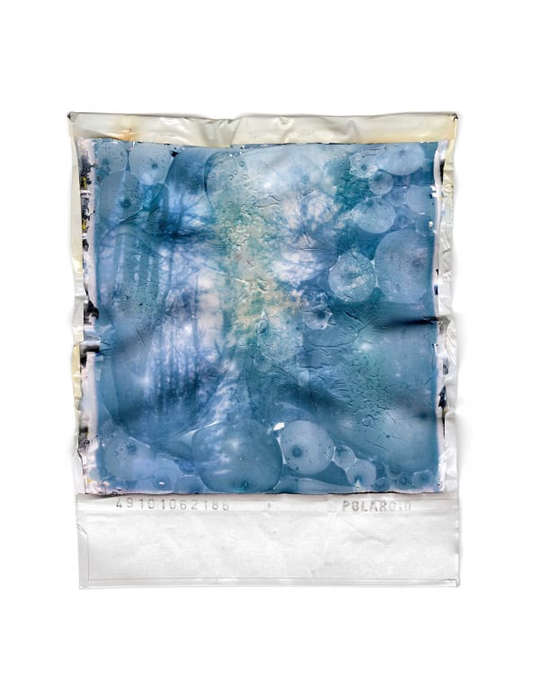 Gohar Dashti, Disappearing Nature #10, 2022