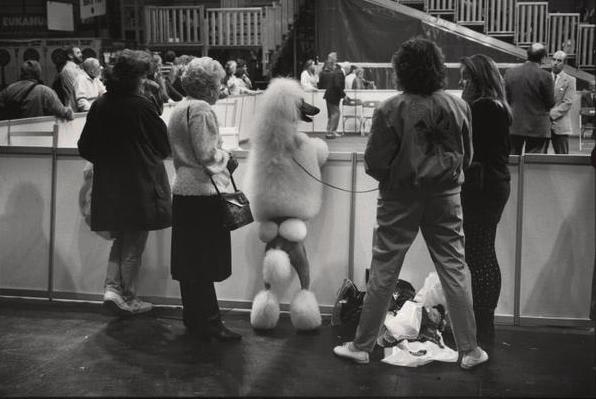 Elliott Erwitt, England, Birmingham, 1991