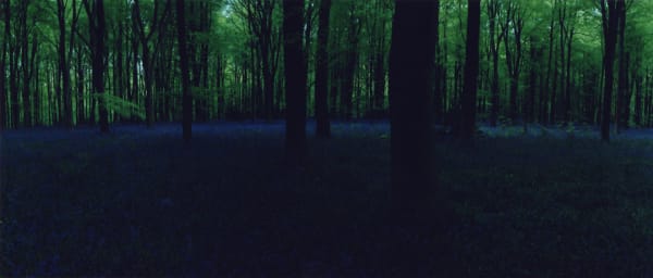 Chrystel Lebas, Blue Hour 4, 2005