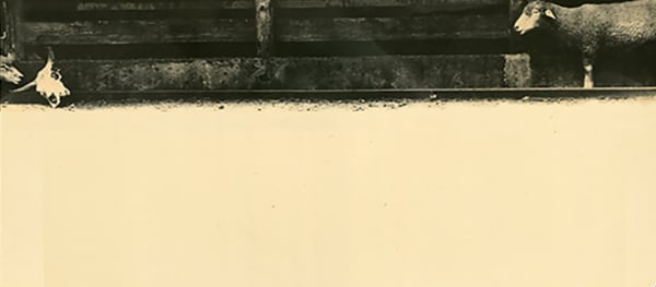 Miho Kajioka, BK0266, 2000