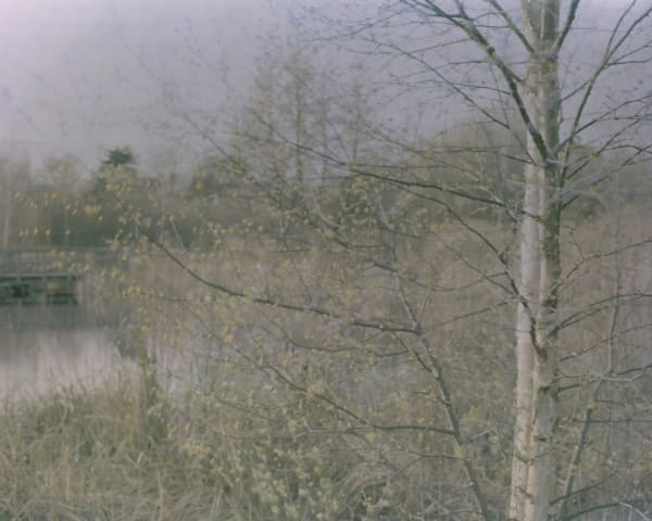 Kurt Tong, Untitled 5, 2009